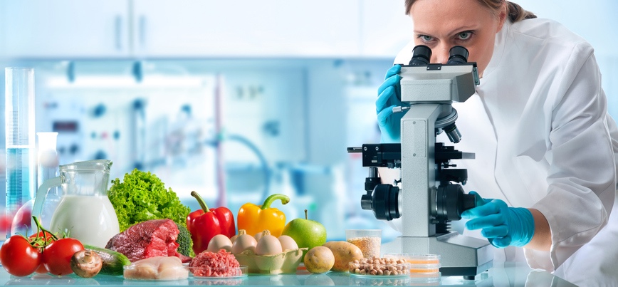 Food scientist observing different foods