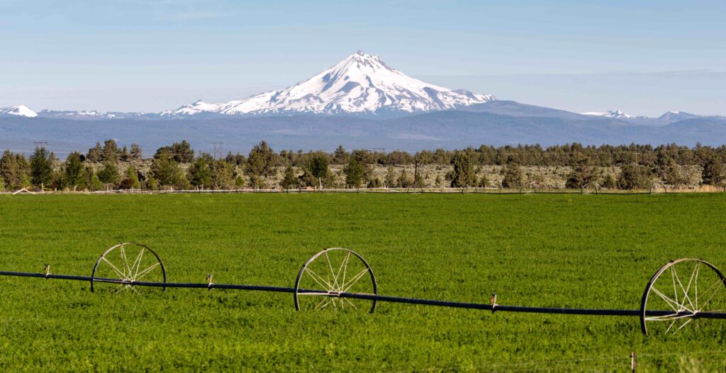 Mount Jefferson Viewed from the Warm Springs Reservation in Oregon